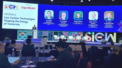 IRSN at the SIEW 2024