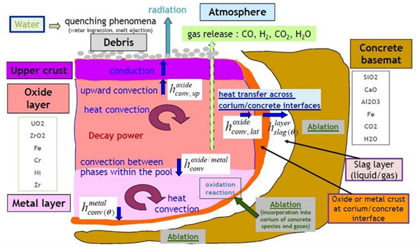 ASTEC Physical phenomena modelled in the MCCI phase.